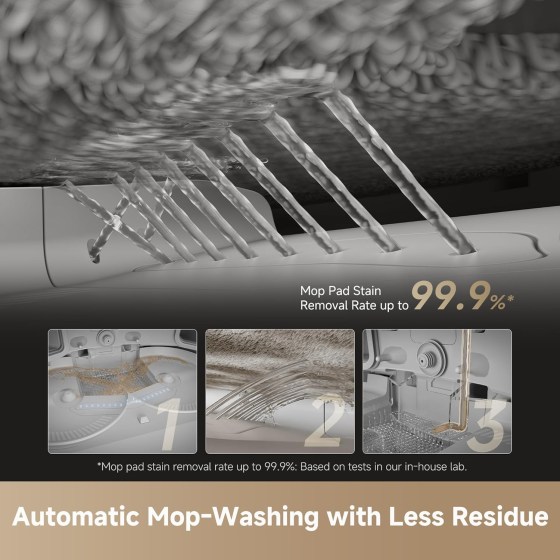 81OkQ4WRGNL._AC_SL1500_