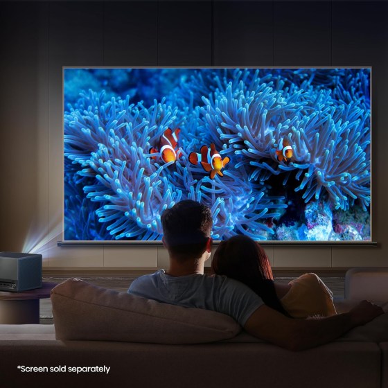 81Yv4V0cuhL._AC_SL1500_