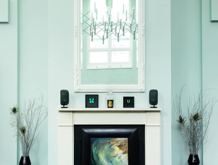 81k-YGr05PL._AC_SL1500_