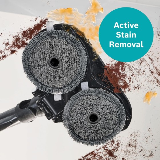 91mDpybMrHL._AC_SL1500_