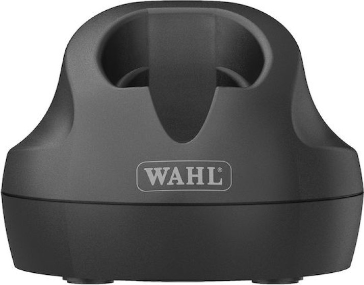 xlarge_20250115104300_a28d04fe